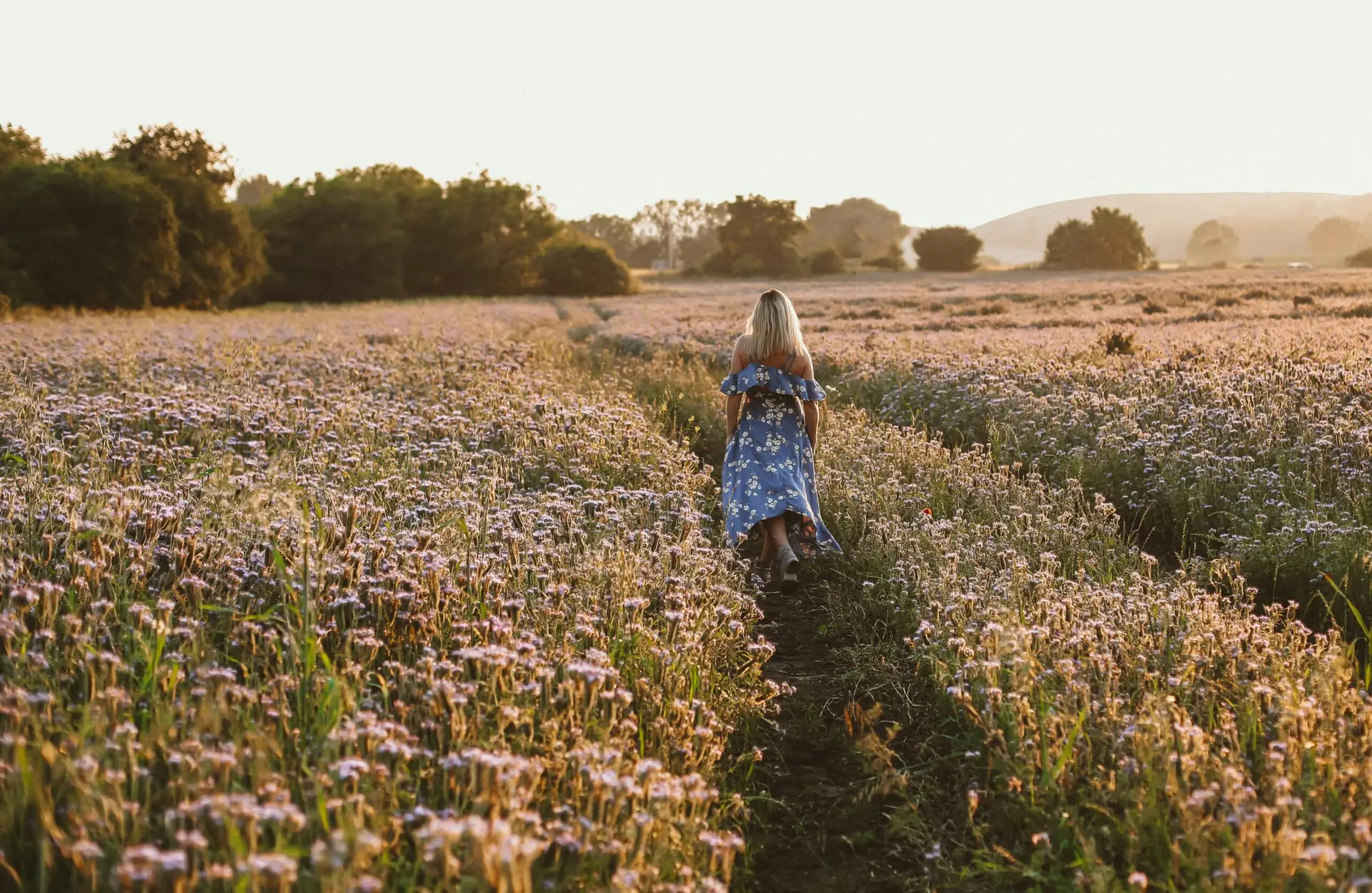 A woman in a blue dress walks through a blooming field during the day.